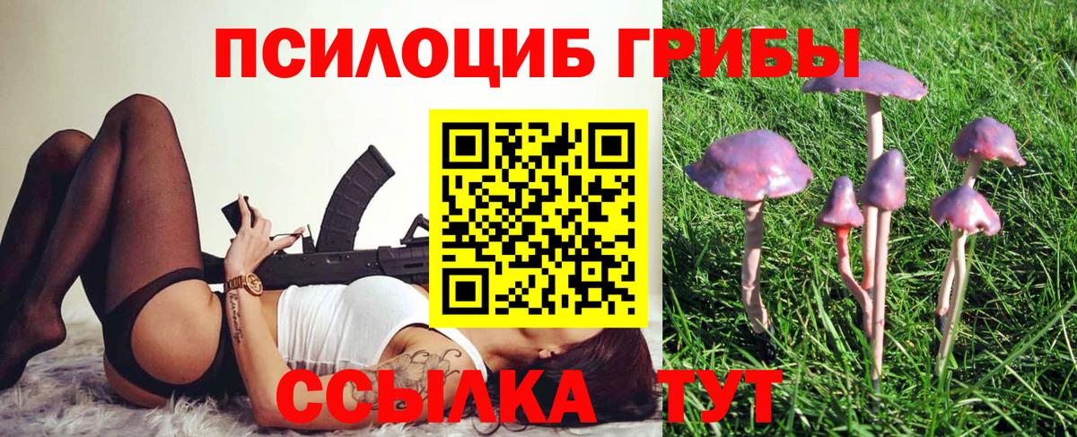 Псилоцибиновые грибы Cubensis Зерноград
