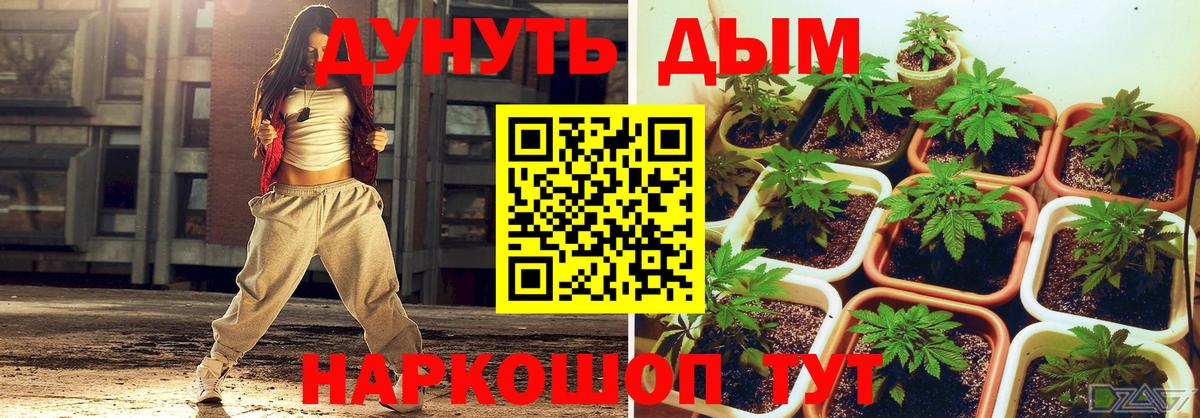 Бошки марихуана семена Зерноград